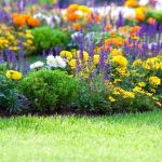 Weisberg Gardens