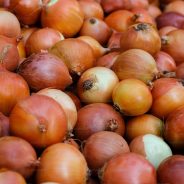 Peeling my Onion