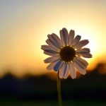 The Main Thing IS Working by R' Efrem Goldberg