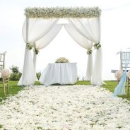 The Wedding of an Injured Hero