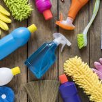 Aish Kodesh on Passover Cleaning