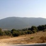 A Meron Tragedy 70 Years Ago and an Incredible Dream (3-Min. Rabbi Fischel Schachter Video)