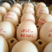 Eggs Join the War Effort