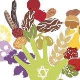 Happy Tu B’Shvat!