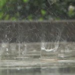 When Yaakov Saw Angels in the Rainstorm