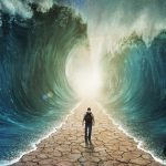 My Miracle-Free Week