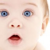 If Newborns Could Talk:)