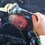 Bat Sheva's Miracle Blizzard 14th Birth