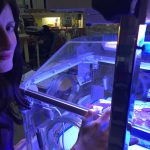 Always on Time? Giving Birth at 28 Weeks by Chany Zagury