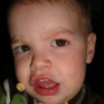My Pesach Cleaning Nemesis: Cheerios
