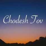 Shabbat shalom and chodesh tov! ✡️🥰