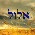 Accessing Elul's Power in 5 Minutes a Day (10-Minute Mommy Peptalk)