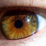 Sacrificing my Sight for my Son by Shiffy Friedman