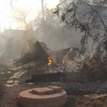 The Moshav Burned Down, What Now?