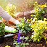 1 of the Few Things I Know About Choosing a Spouse