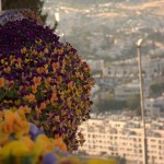 Waiting for Elijah in Jerusalem (3-Minute Music Video)