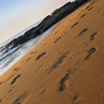 Sneak Preview of Newly-Released CD Footsteps by Shalvi