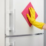 How to Do Your Pesach Cleaning Happily In Less than 1 Day by Rabbi Shlomo Aviner