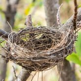 An Empty-Nester Reminisces about her Once Full House by Cheryl Kupfer