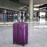 Stealing the Purple Suitcase by Reb. Shira Smiles