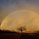 My Father's Positive Thinking Miracle (10-Minute Mommy Peptalk)