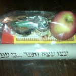 The Most Incredible Mishloach Manot I Received this Purim