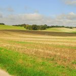 The Queen is in the Field by Rabbi YY Jacobson