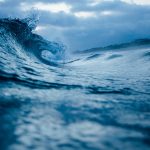 The New Corona Wave and My Wave