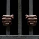 Free Pedophiles?