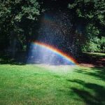 Miracles, Big and Small by Rabbi Yechezkel Elias