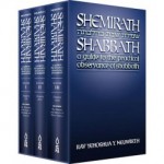 When the Shmirat Shabbat K'Hilchata broke Shabbos