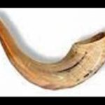 What I Was Thinking About During the Shofar Blowing (12-Minute Mommy Peptalk)