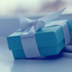 A Fantastic Gift for Your Child: A Chore by Ziva Meir