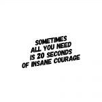 20 Seconds of Insane Courage