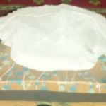 The Half-Finished Package of Tissues Underneath my Stroller