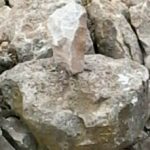 My Purim Rock