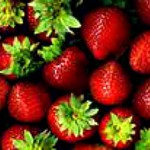 A Song I am Loving: Our Life in Israel is Berries by Hanan ben Ari