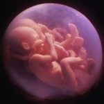 Rivka Imenu's Traumatic Pregnancy by Rabbanit Yemima Mizrachi