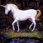 Unicorn Mom