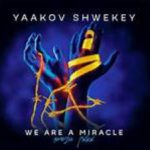 We are a Miracle --Yaakov Shwekey (5-Minute Music Video)