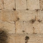 As Holy as the Kotel