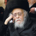 What was HaRav Elyashiv Like as a Baby?